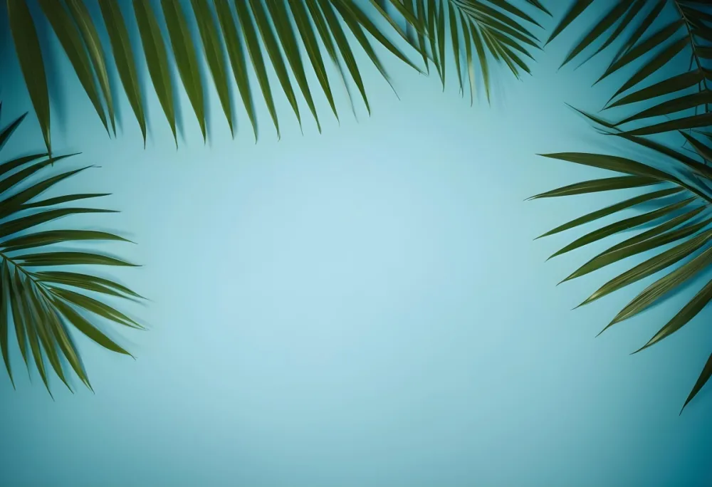 Palm Leaves On The Corners With A Shadow Of Palm Leaves In A Blue Background 89 7101