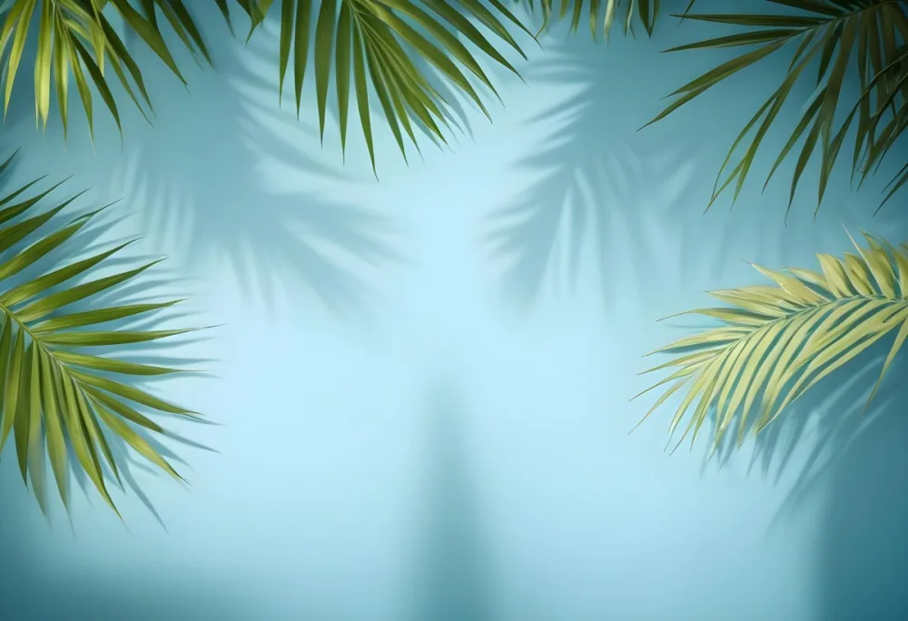 Palm Leaves On The Corners With A Shadow Of Palm Leaves In A Blue Background 9 C7a4