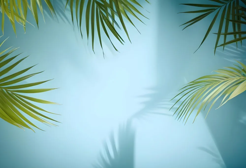 Palm Leaves On The Corners With A Shadow Of Palm Leaves In A Blue Background 95 B044
