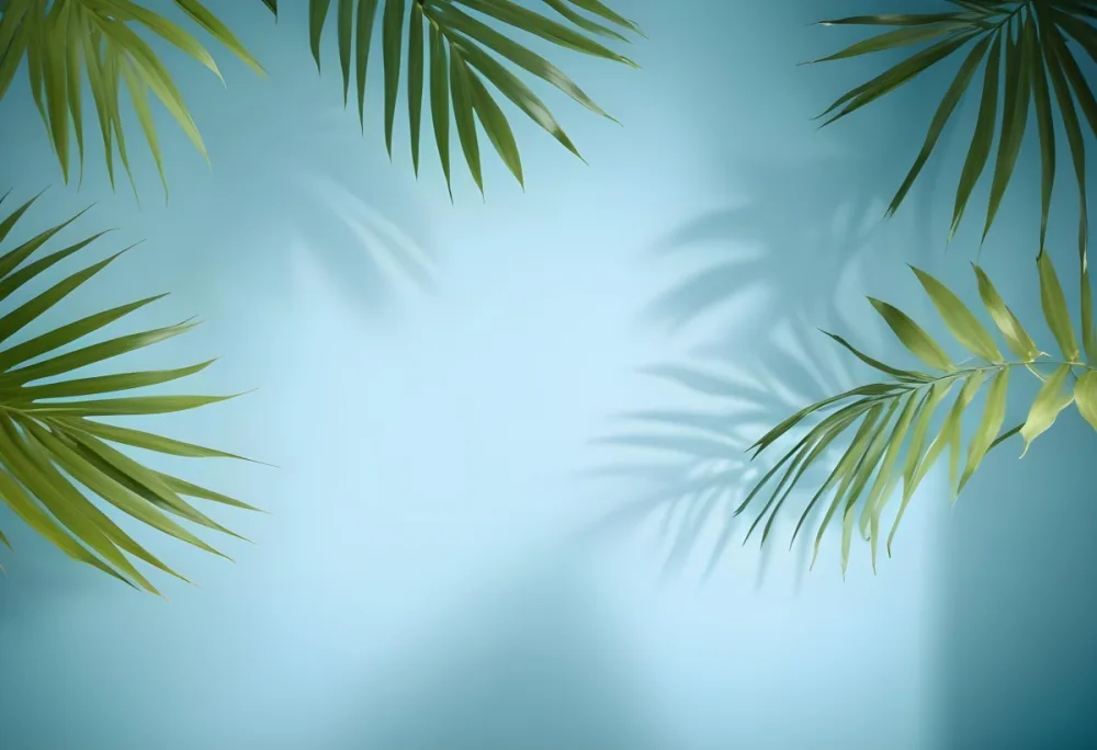 Palm Leaves On The Corners With A Shadow Of Palm Leaves In A Blue Background 98 6024