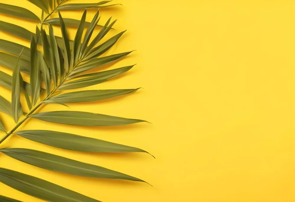 Palm Leaves On The Left Side Vibrant Yellow Background Tropical Vibe Minimalist Composition Bright And Sunny Nature Inspired Design Summer Aesthetic Clean And Simple 7 E417