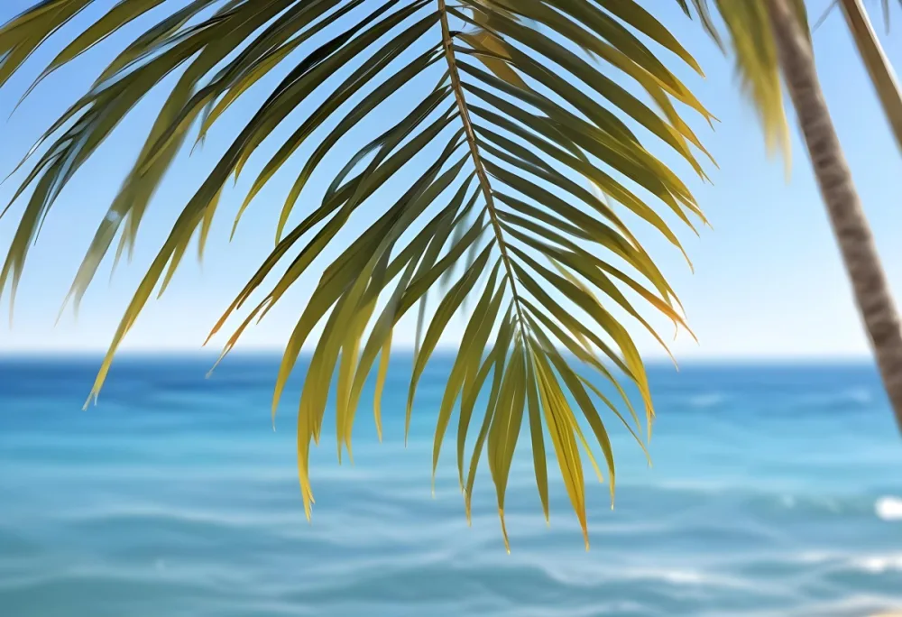 Palm Tree Leaf On The Upper Right Corner Light Blue Ocean With Bokeh Effect In The Background Sunny Day 5 E2dd