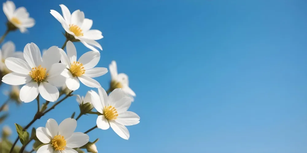 Soft Blue And White Cloudy Sky Background 43 5c63