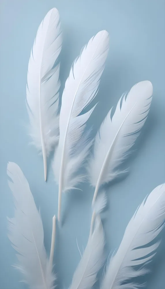 Soft Delicate White Feathers Against A Pale Blue Background 15 81e0