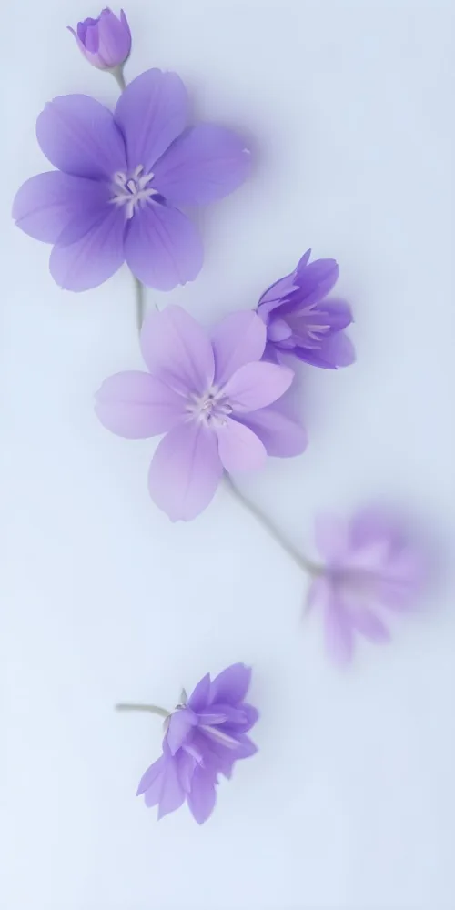 Soft Purple Flowers With Blurred Background 15 82b8