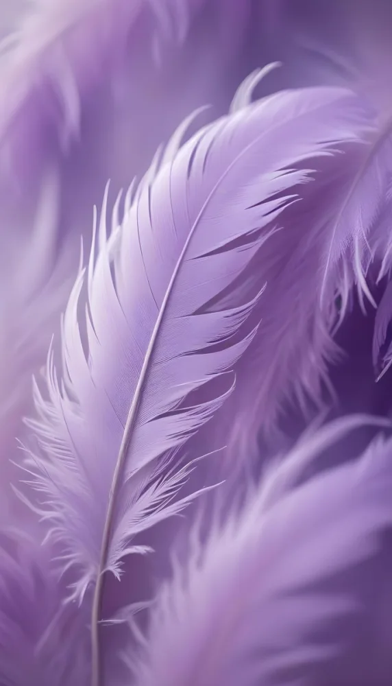 Soft Wispy Purple Feathers With A Blurred Ethereal Background6 5 3ca0