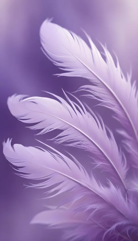 Soft Wispy Purple Feathers With A Blurred Ethereal Background6 6 4209