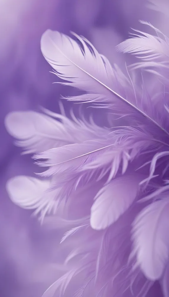 Soft Wispy Purple Feathers With A Blurred Ethereal Background6 7 E3f7