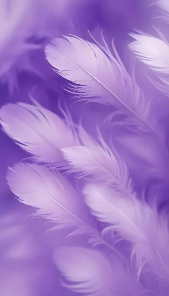 Soft Wispy Purple Feathers With A Blurred Ethereal Background6 9 8b7d