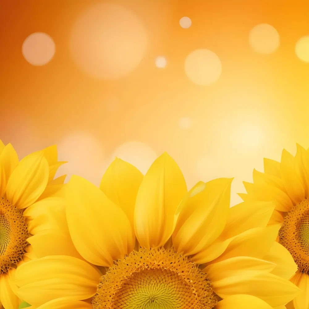 Three Sunflowers With Orange Petals And Yellow Centers Arranged At The Bottom Of The Frame Soft Yellow Background With Bokeh Effect 69 01b0
