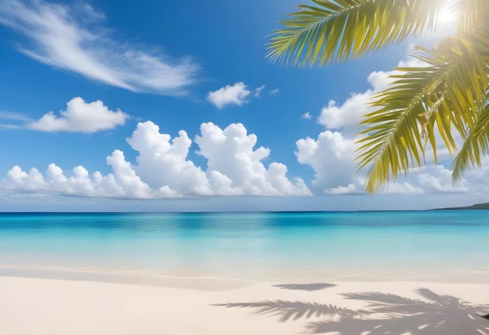 Tropical Beach With White Sand Clear Water And A Clear Blue Sky With Fluffy White Clouds Palm Tree Leaves In The Upper Right Corner 11 24b5