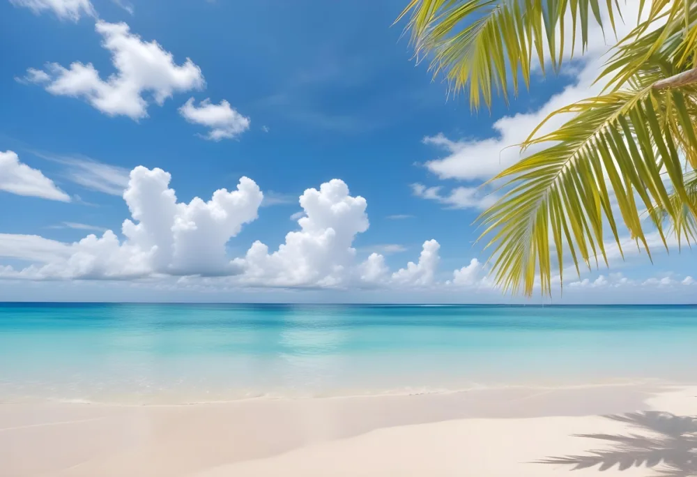 Tropical Beach With White Sand Clear Water And A Clear Blue Sky With Fluffy White Clouds Palm Tree Leaves In The Upper Right Corner 12 0444