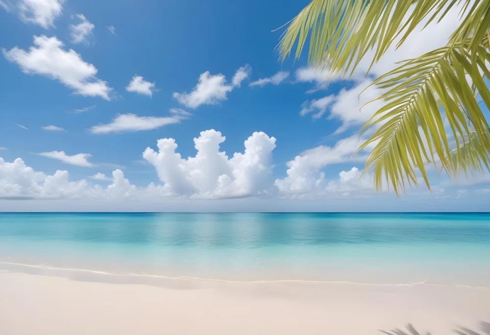 Tropical Beach With White Sand Clear Water And A Clear Blue Sky With Fluffy White Clouds Palm Tree Leaves In The Upper Right Corner 4 269c