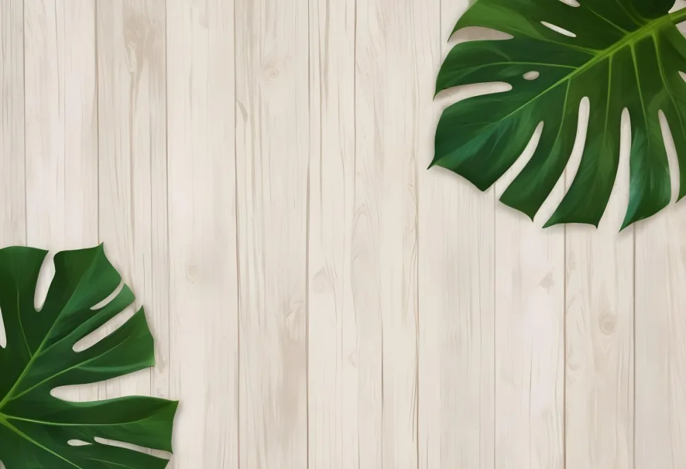 Two Green Monstera Leaves On The Corners Of A Wooden Planks Background Light Brown Color Vertical Lines Natural Light 29 5015