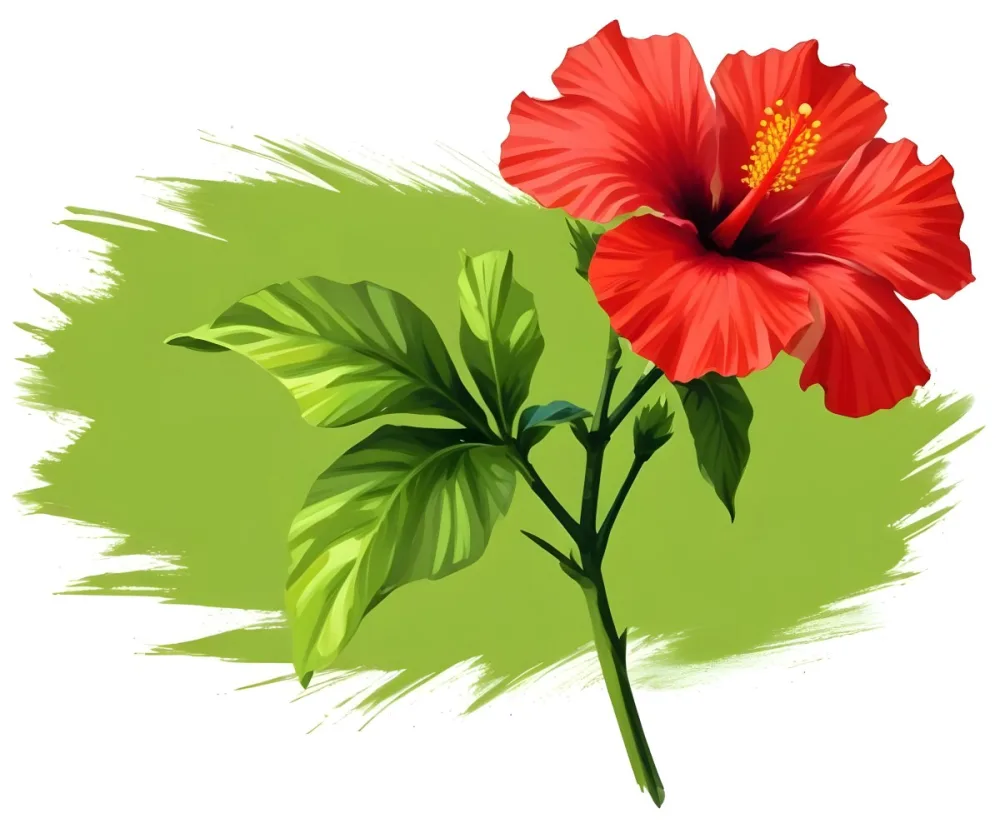 Two Red Hibiscus Flowers On A Green Brush Stroke White Background Vibrant Colors Tropical Theme Floral Design Botanical Illustration Decorative Element Nature Inspired Art 34 4568