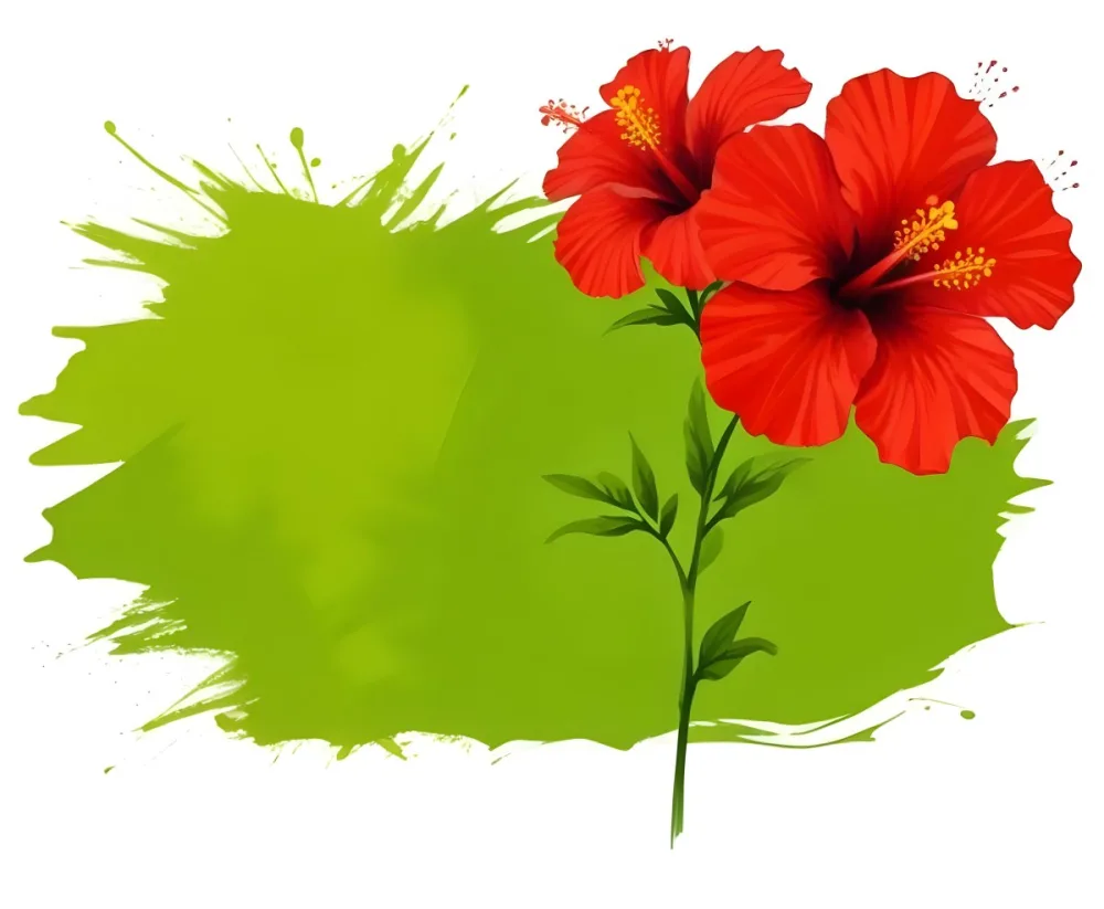 Two Red Hibiscus Flowers On A Green Brush Stroke White Background Vibrant Colors Tropical Theme Floral Design Botanical Illustration Decorative Element Nature Inspired Art 35 7e6c