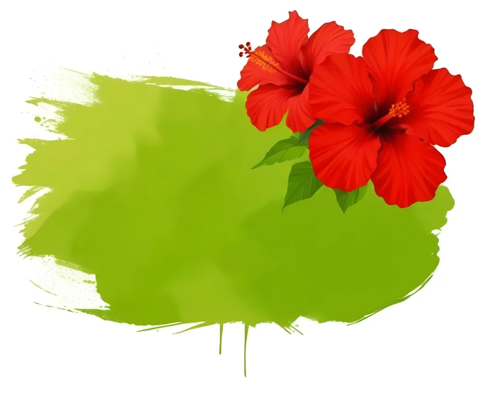 Two Red Hibiscus Flowers On A Green Brush Stroke White Background Vibrant Colors Tropical Theme Floral Design Botanical Illustration Decorative Element Nature Inspired Art 6 0927