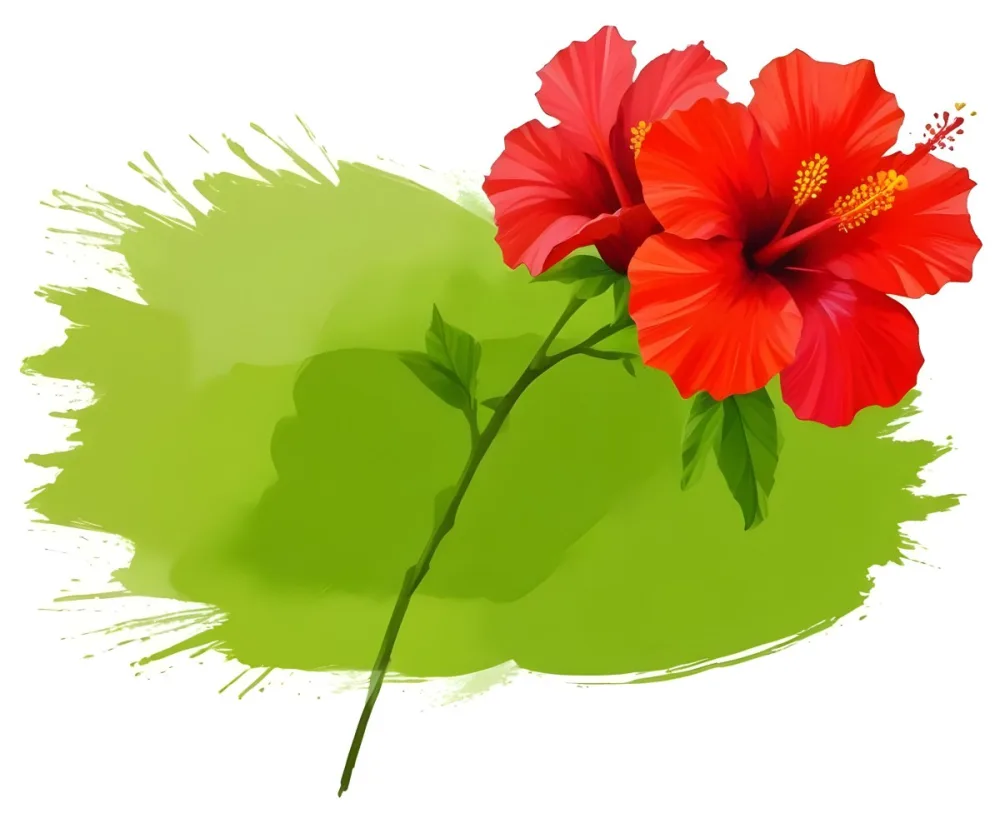Two Red Hibiscus Flowers On A Green Brush Stroke White Background Vibrant Colors Tropical Theme Floral Design Botanical Illustration Decorative Element Nature Inspired Art 9 0b79