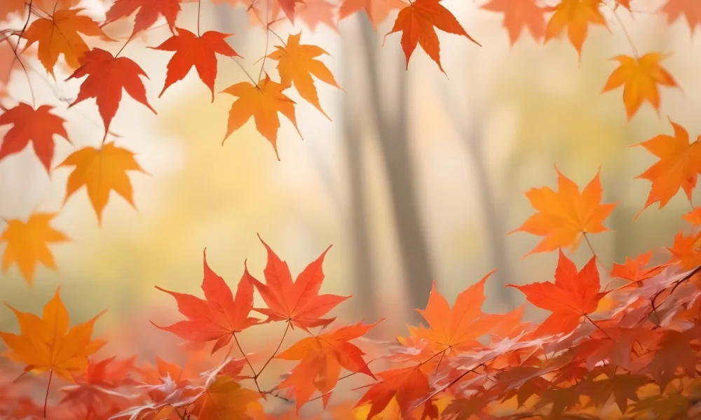 Vibrant Orange And Red Maple Leaves