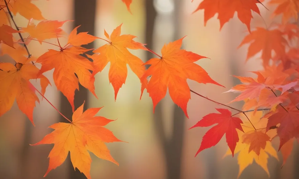 Vibrant Orange And Red Maple Leaves Against A Blurred Hazy Background With A Warm Autumnal Color Palette 16 Edc1