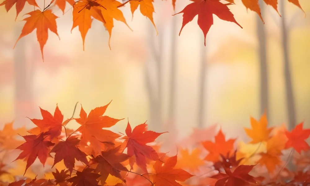 Vibrant Orange And Red Maple Leaves Against A Blurred Hazy Background With A Warm Autumnal Color Palette 19 7cc1