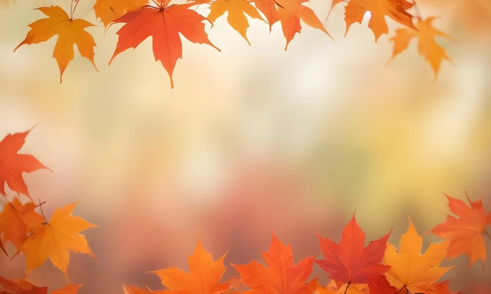 Vibrant Orange And Red Maple Leaves Against A Blurred Hazy Background With A Warm Autumnal Color Palette 21 B1cc
