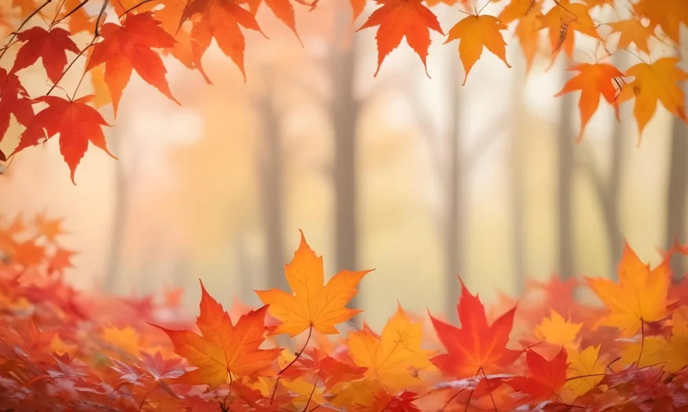 Vibrant Orange And Red Maple Leaves Against A Blurred Hazy Background With A Warm Autumnal Color Palette 22 34ea