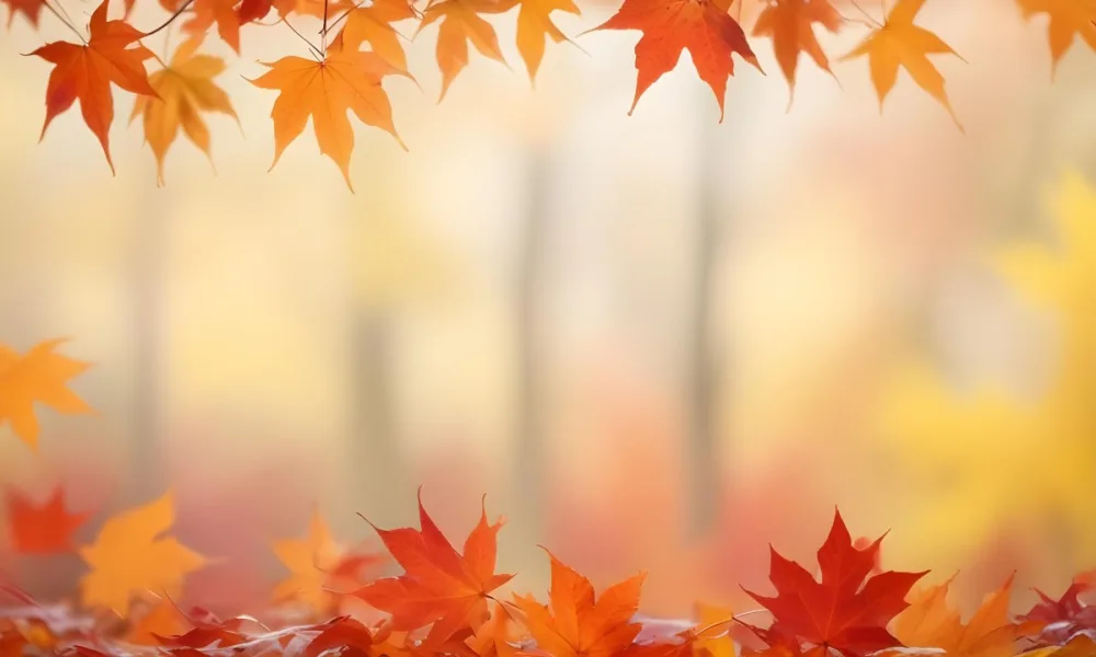 Vibrant Orange And Red Maple Leaves Against A Blurred Hazy Background With A Warm Autumnal Color Palette 24 0caa