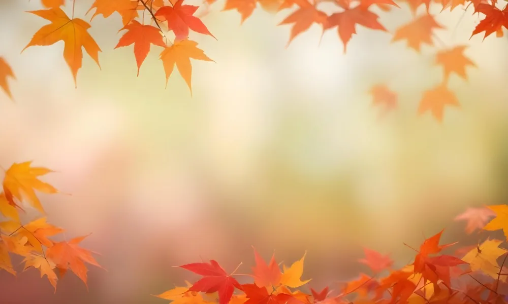 Vibrant Orange And Red Maple Leaves Against A Blurred Hazy Background With A Warm Autumnal Color Palette 25 Dd29