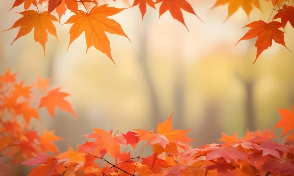 Vibrant Orange And Red Maple Leaves Against A Blurred Hazy Background With A Warm Autumnal Color Palette 3 E3ae