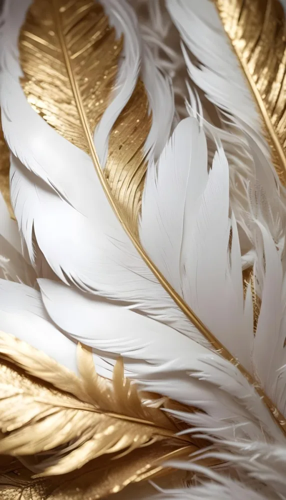 White And Gold Feathers Close Up View Of The Intricate Details And Textures 3 5e6a