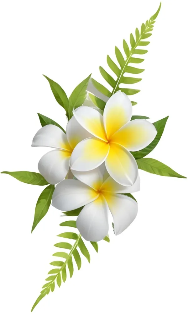 White And Yellow Plumeria Flowers With Yellow Leaves And Ferns On A Green Background 3 Aac2