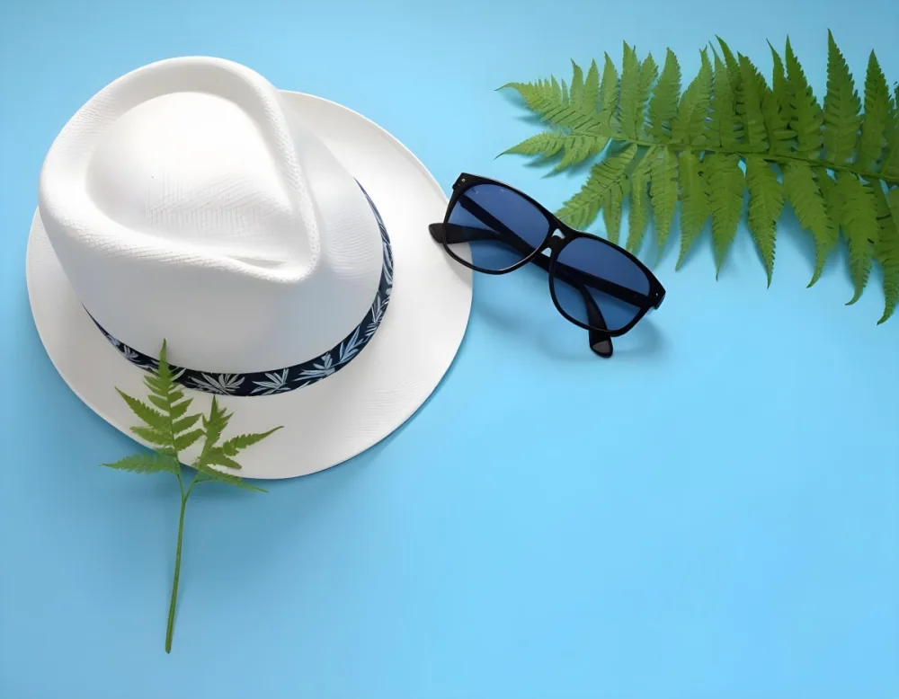 White Fedora Hat Blue Sunglasses And A Fern Leaf On A Black Background 24 A227