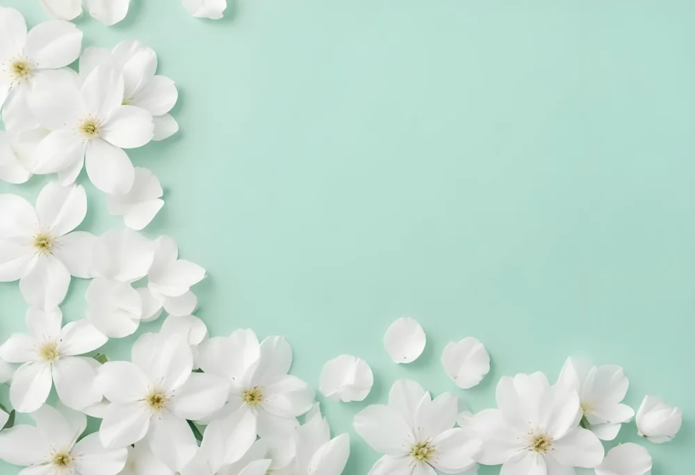 White Flowers And Petals On A Light Green Background Floral Arrangement Soft Lighting Minimalist Composition Fresh And Delicate Spring Theme Clean Aesthetic 7 E26d