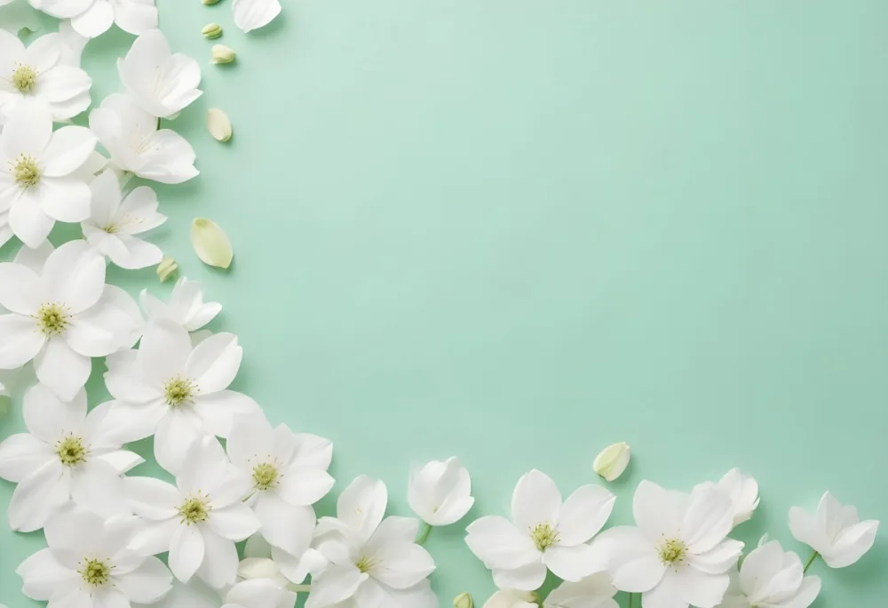 White Flowers And Petals On A Light Green Background Floral Arrangement Soft Lighting Minimalist Composition Fresh And Delicate Spring Theme Clean Aesthetic 9 Db25