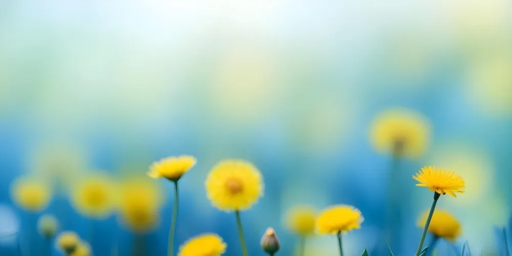 Yellow Dandelion Flowers In A Blurred Blue And Green Field 18 C73d