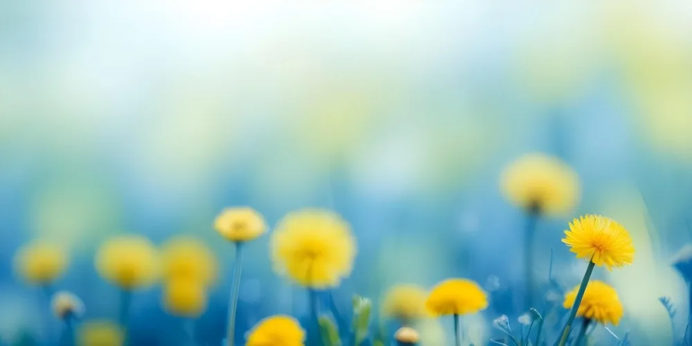 Yellow Dandelion Flowers In A Blurred Blue And Green Field 3 3ed5