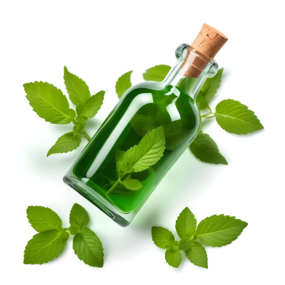 A Clear Glass Bottle With A Cork Stopper Containing Green Liquid Placed Next To Fresh Green Mint Leaves The Mint Leaves Are Vibrant And Lush Showcasing Their Serrated Edges And Rich Color The Background Is Plain W 10 31d8