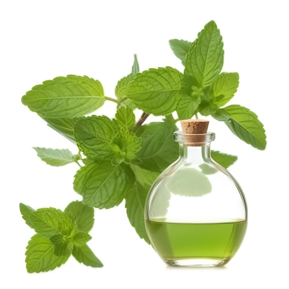 A Clear Glass Bottle With A Cork Stopper Containing Green Liquid Placed Next To Fresh Green Mint Leaves The Mint Leaves Are Vibrant And Lush Showcasing Their Serrated Edges And Rich Color The Background Is Plain W 12 4baa