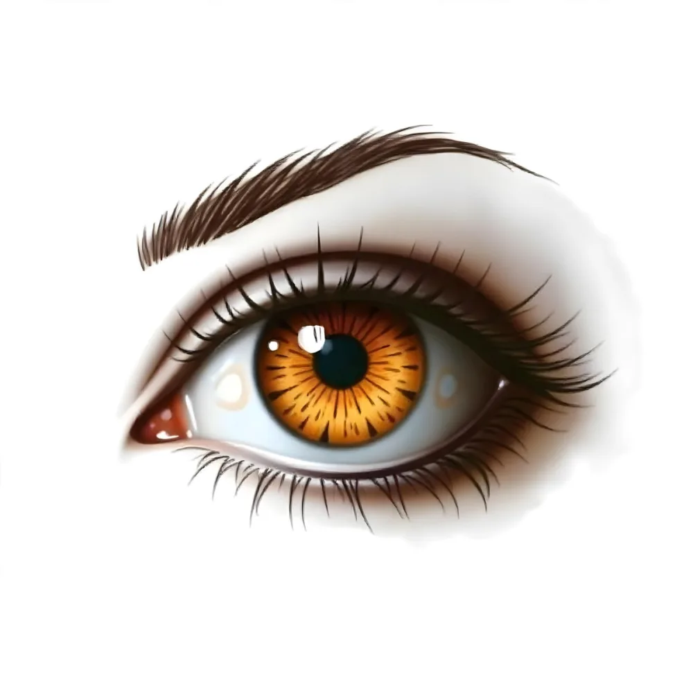A Close Up Of A Brown Eye With Long Lashes And Eyebrow The Iris Is Orange And Yellow In A White Background 10 F553