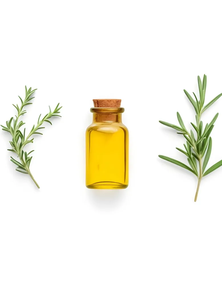 A Glass Bottle Filled With Yellow Essential Oil Surrounded By Sprigs Of Rosemary On A White Background 36 Fd33