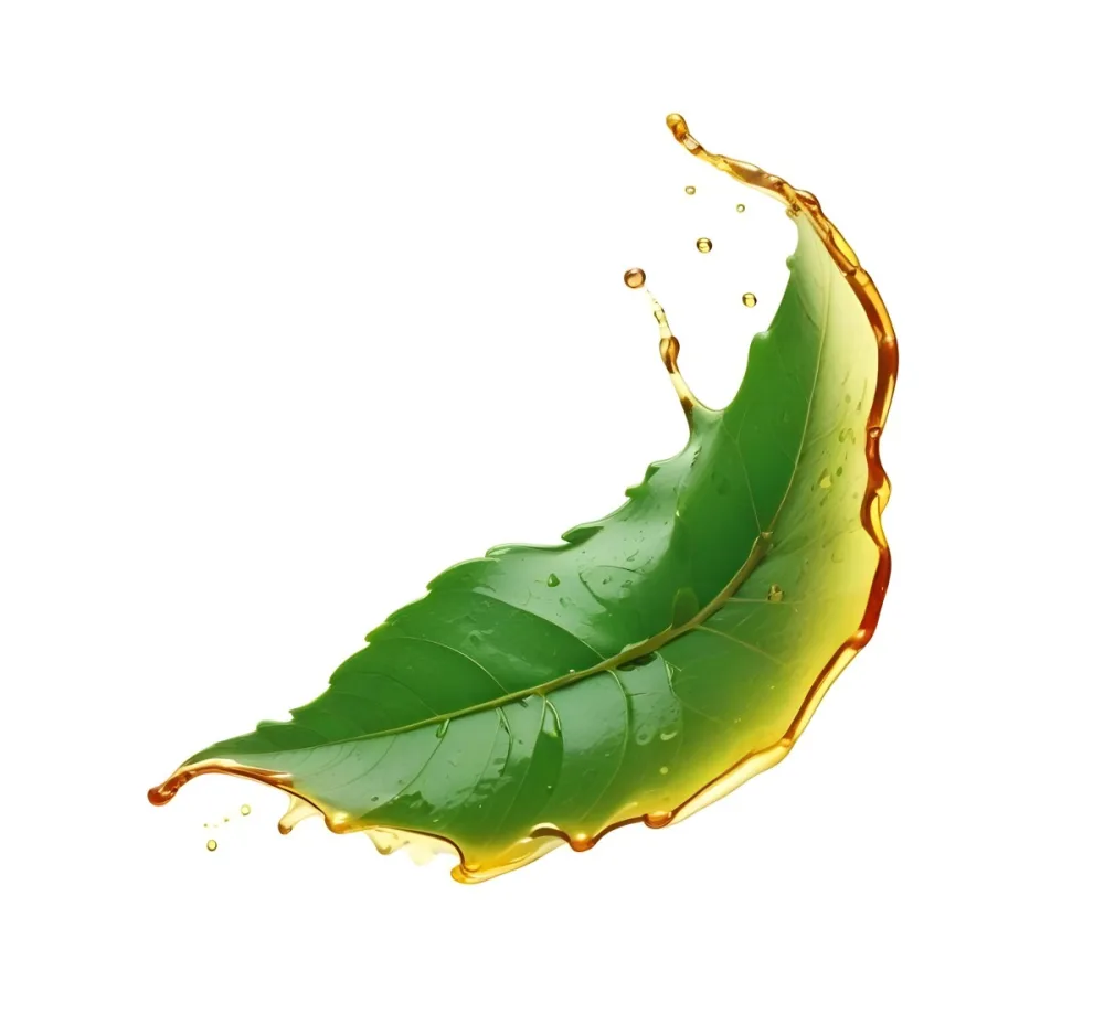 A Green Leaf With A Splash Of Green Oil Around It The Background Is Plain White The Oil Is Dripping And Splashing Around The Leaf 12 Cd22