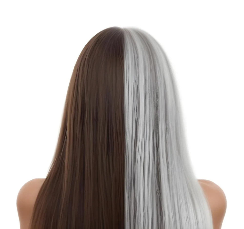 A Middle Aged Caucasian Woman With Long Straight Brown And Gray Hair 1 544f