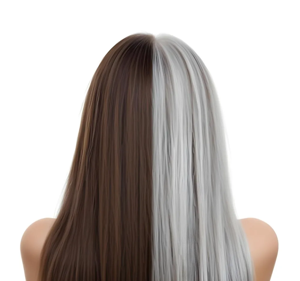 A Middle Aged Caucasian Woman With Long Straight Brown And Gray Hair 11 E2e5