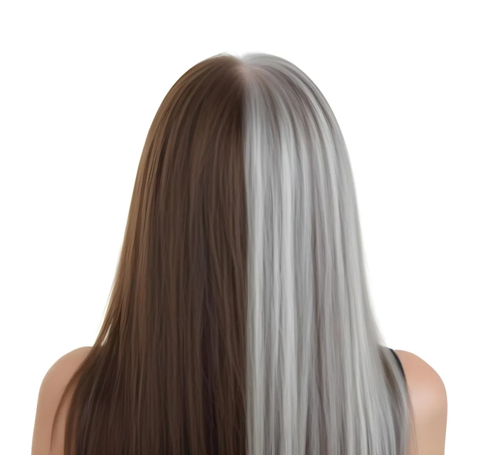 A Middle Aged Caucasian Woman With Long Straight Brown And Gray Hair 12 C132