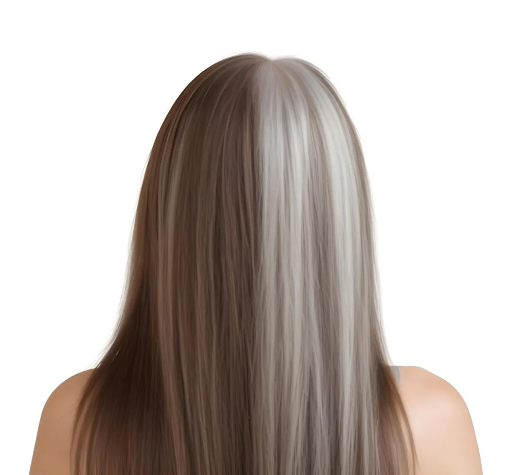 A Middle Aged Caucasian Woman With Long Straight Brown And Gray Hair 2 3766