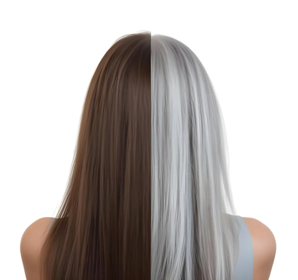 A Middle Aged Caucasian Woman With Long Straight Brown And Gray Hair 8 6a63