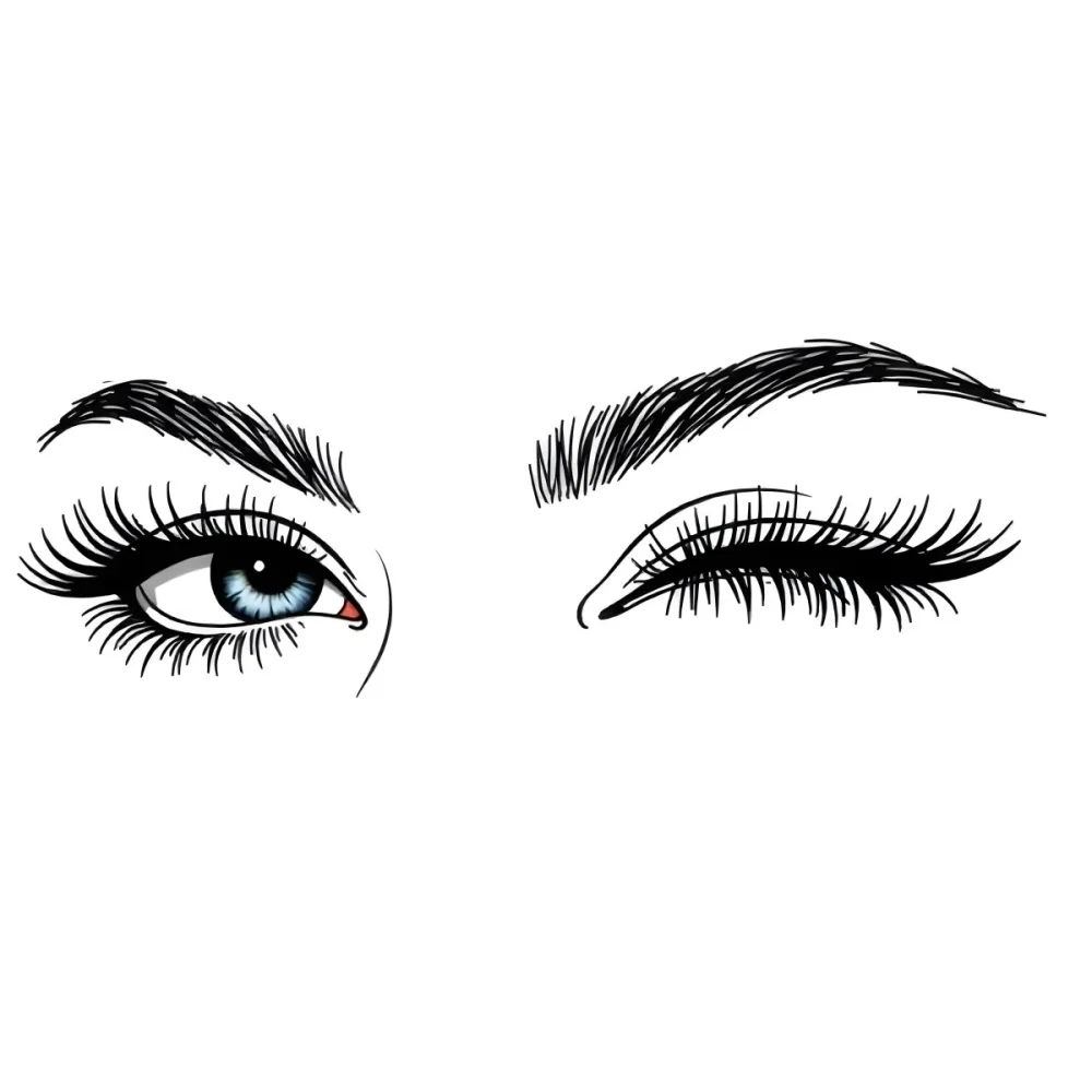 A Pair Of Eyes One Open And One Closed With Long Eyelashes And Defined Eyebrows In A Minimalist Style Isolated On A White Background 21 F151