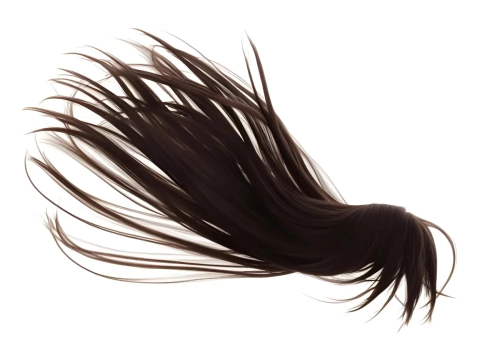 A Strand Of Long White Hair With Individual Strands Fanning Out Against A Stark White Background 3 5083