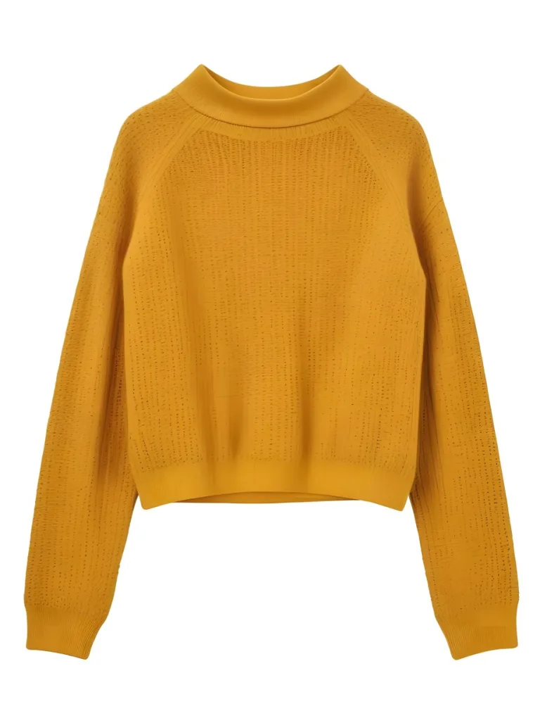 A Yellow Knitted Sweater With Long Sleeves And A High Neck Isolated On A White Background 15 4f8f